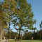 GolfclubHerbst020(3) GolfclubHerbst020(3)