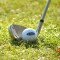 GolfclubHerbst043 GolfclubHerbst043