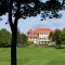 clubhausBaum1