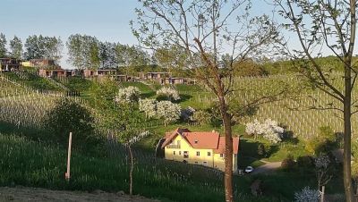 Gästehaus Herbert Freissmuth